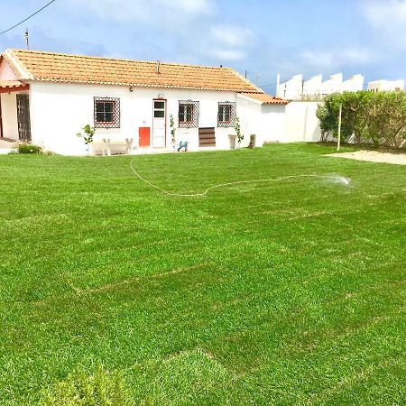 Catus Homie Baleal Exterior photo